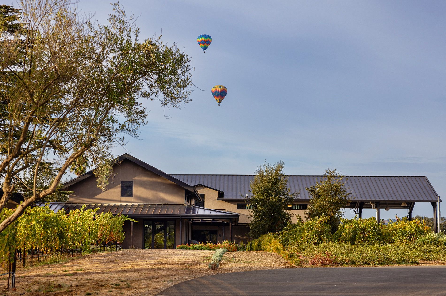 Seven Apart Winery on Silverado Trail with Hot Air Balloons